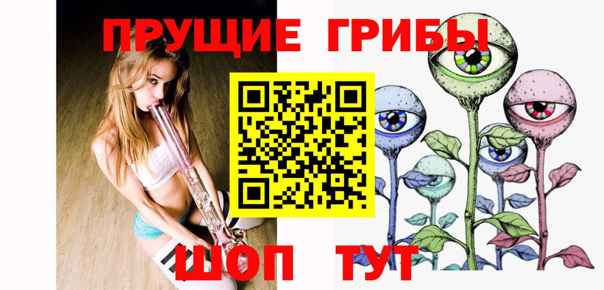 Псилоцибиновые грибы GOLDEN TEACHER  Вход с VPN  Псилоцибиновые грибы прущие грибы  Новоалександровск 